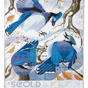 A Scold Of Blue Jays Birds In Winter Blanket