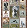 Anatomy English Setter Blanket