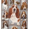 Basset Hound Blanket