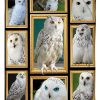 Beautiful Owl White Blanket