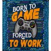 Born To Game Forced To Work Blanket