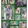 Bulldog Art Blanket