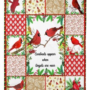 Cardinal Birds Cardinals  Are Near Blanket