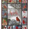 Cardinal Cardinals Appear Blanket