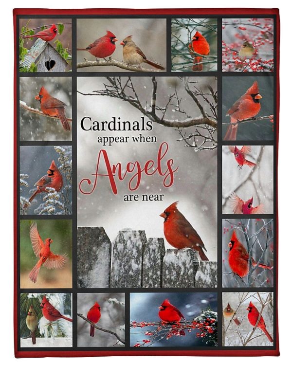 Cardinal Cardinals Appear Blanket