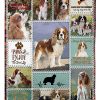 Cavalier King Charles Spaniel Blanket