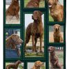 Chesapeake Bay Retriever Blanket