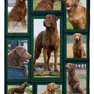 Chesapeake Bay Retriever Blanket