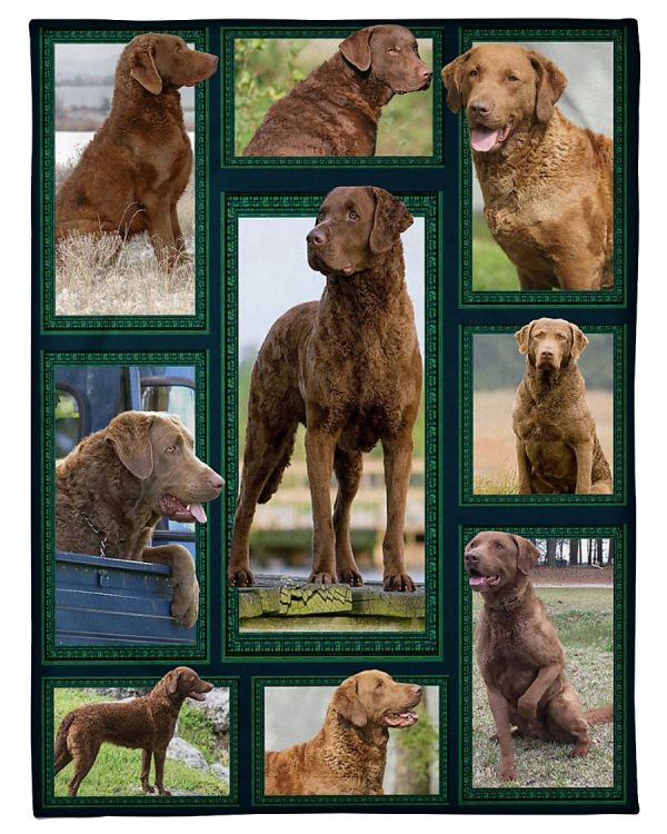 Chesapeake Bay Retriever Blanket