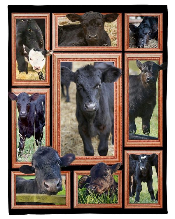 Cow Black Angus Calves Blanket