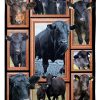 Cow Black Angus Cattle Blanket