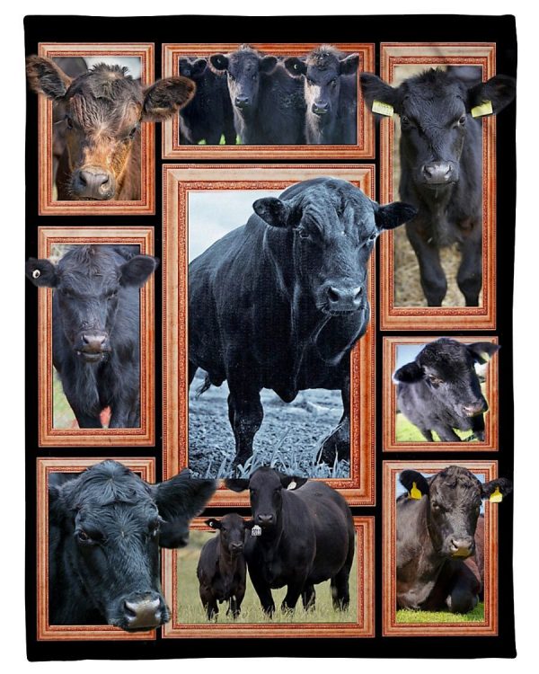 Cow Black Angus Cattle Blanket