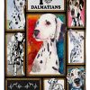 Dalmatian Blanket