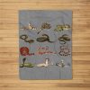 Different Types Of Snakes Boys Kids Girl Educational Serpent Fleece Blanket