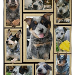 Dog Cute Blue Heelers Blanket