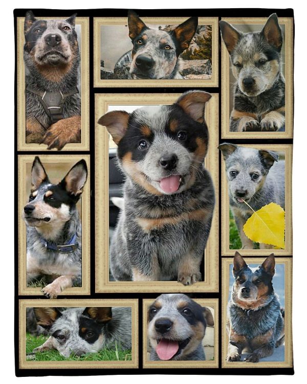 Dog Cute Blue Heelers Blanket