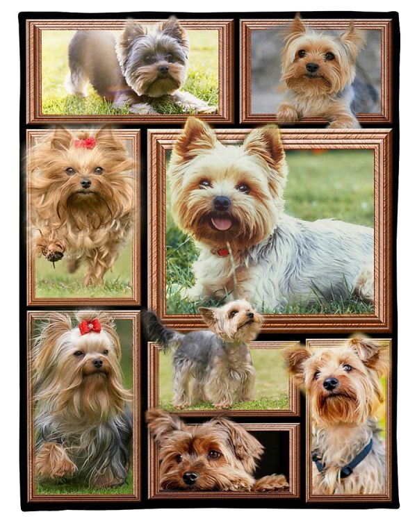 Dog Cute Yorkshire Terrier Blanket