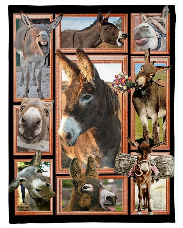 Donkey Cute Donkeys Blanket