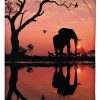 Elephant Sunset Custom Design Gift For Elephant Lovers Blanket