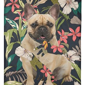 French Bulldog Blanket