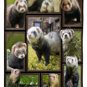 Funny Ferret Blanket