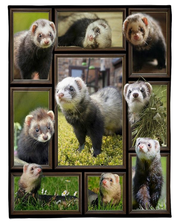 Funny Ferret Blanket