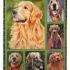 Funny Golden Retriever Blanket