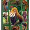 Funny Red Panda Blanket