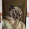 Funny  – A Funny Grey Cat Customized Photo Blanket