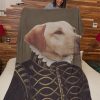 Funny  – Funny Dogs A Count Customized Photo Blanket