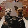 Funny  – Funny Pets Serious Dogs Customized Photo Blanket