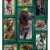 German Shorthaired Pointer Blanket