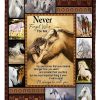 Horse Never Forget Who You Are 1 Blanket