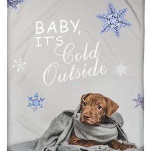 It Is Cold Outside Chocolate Lab Blanket