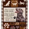 Labrador Retriever Blanket