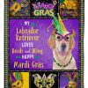 Labrador Retriever Mardi Gras Blanket