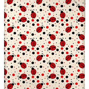 Ladybug Blanket