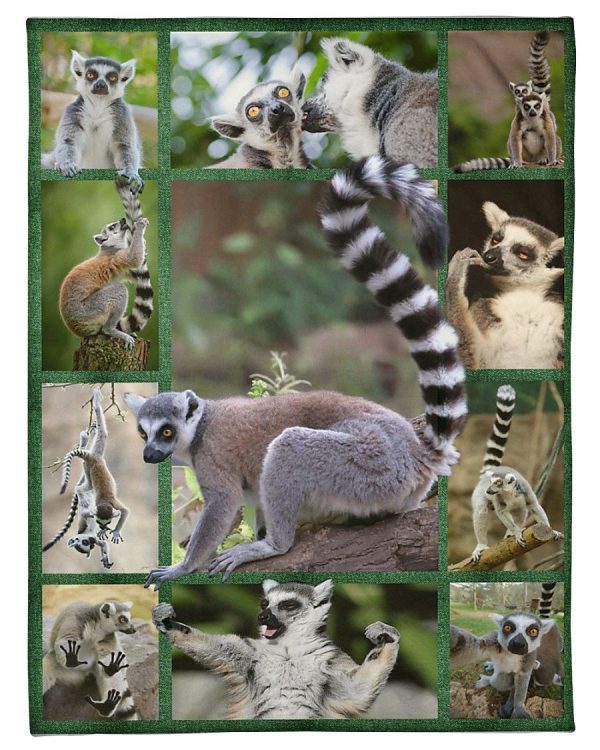 Lemur Climb Anywhere Blanket