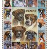 Lovely Boxer Dog  For The Lovers Dog Blanket