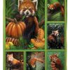 Lovely Red Panda Blanket