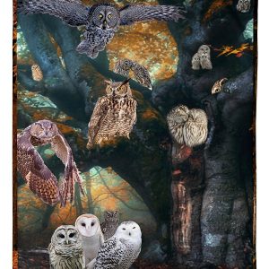 Owl Tree Of Owls Blanket