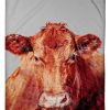 Red Angus Blanket