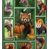 Red Panda And Pumpkin Blanket