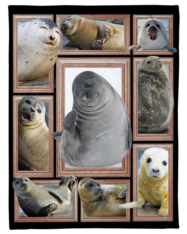 Seal Cute Seals Blanket