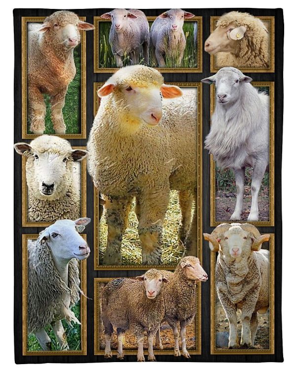 Sheep Cute Sheeps Blanket