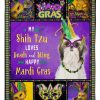 Shih Tzu Mardi Gras Blanket