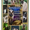 Siamese Cat Blanket