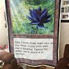 TA Black Lotus Blanket