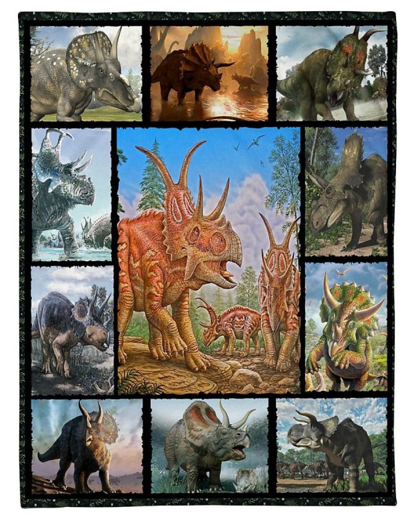 Triceratops Blanket