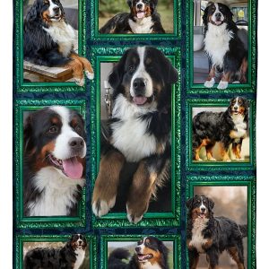 Window Frames Bernese Mountain Dog Blanket